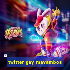 twitter gay mavambos